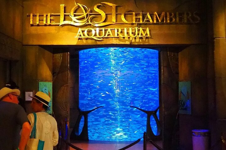Dive into a world of wonder at the Lost Chambers Aquarium where stunning marine life awaits. Perfect for all ages it's a unique adventure in Dubai’s iconic Atlantis.